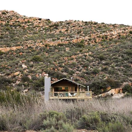 De Doorns Africamps At Karoo 1ヴィラ エクステリア 写真