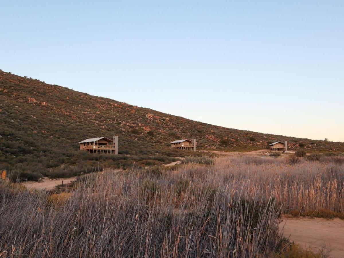 De Doorns Africamps At Karoo 1ヴィラ エクステリア 写真