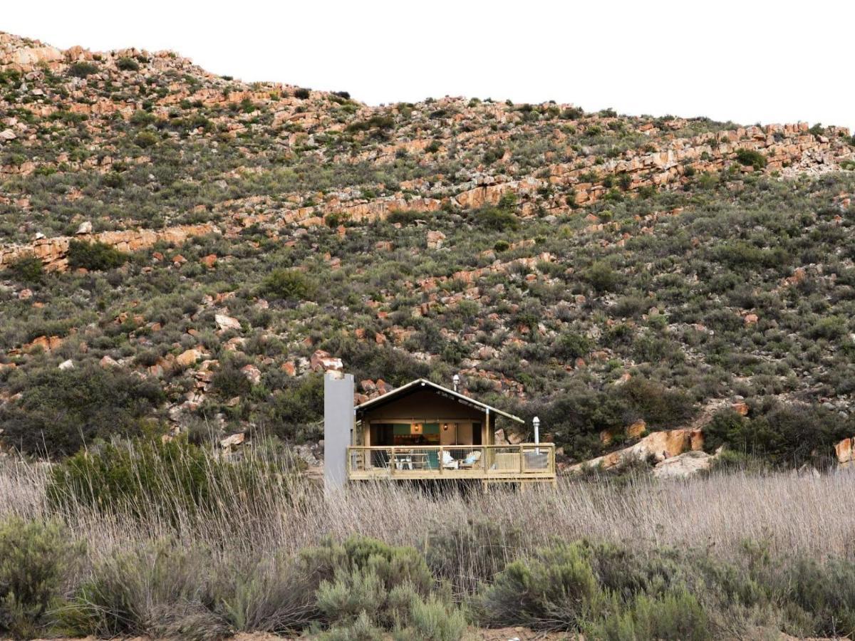 De Doorns Africamps At Karoo 1ヴィラ エクステリア 写真